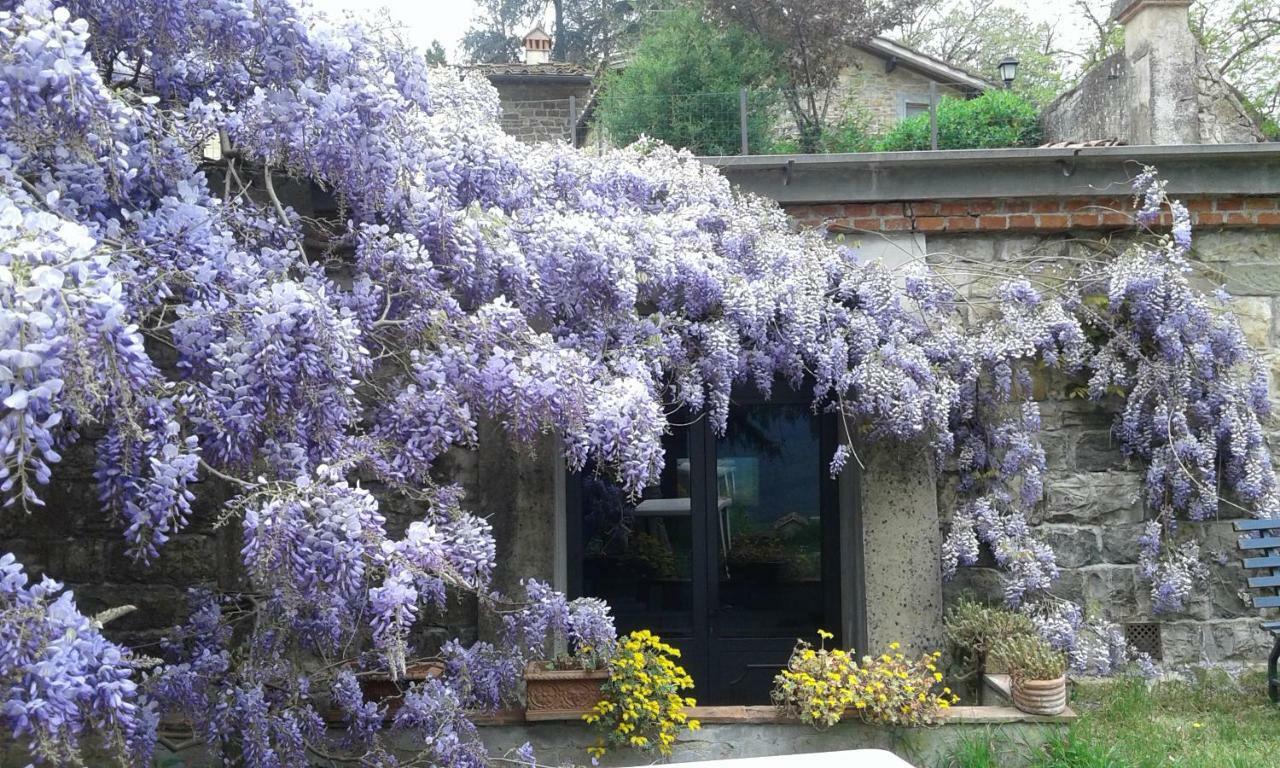 La Tinaia Del Glicine Appartement Pratolino Buitenkant foto